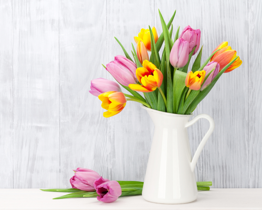 Mother's Day tulips in a white jug.