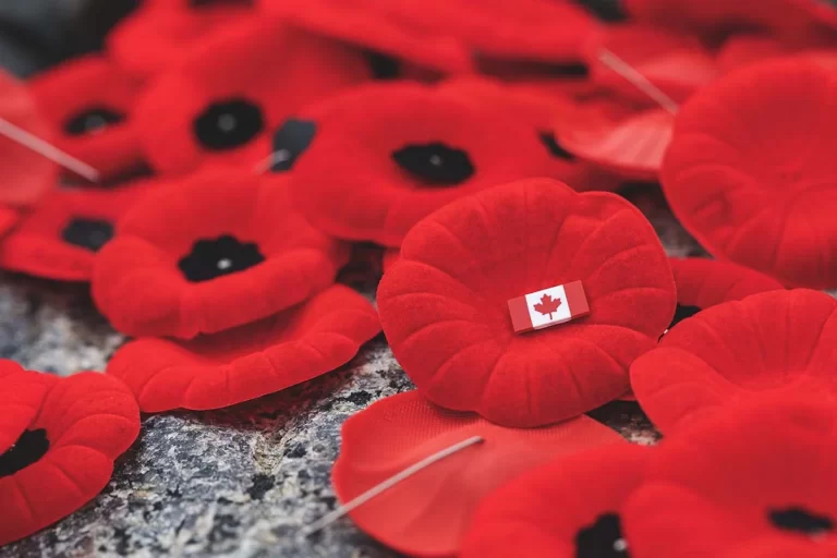 Poppies to remember the heroes this November 11 and Veterans Week