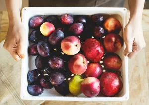 A rectangular colander with plumbs and apples. Some Canadian fruit soon to be in Canadian grocery stores without any tariffs